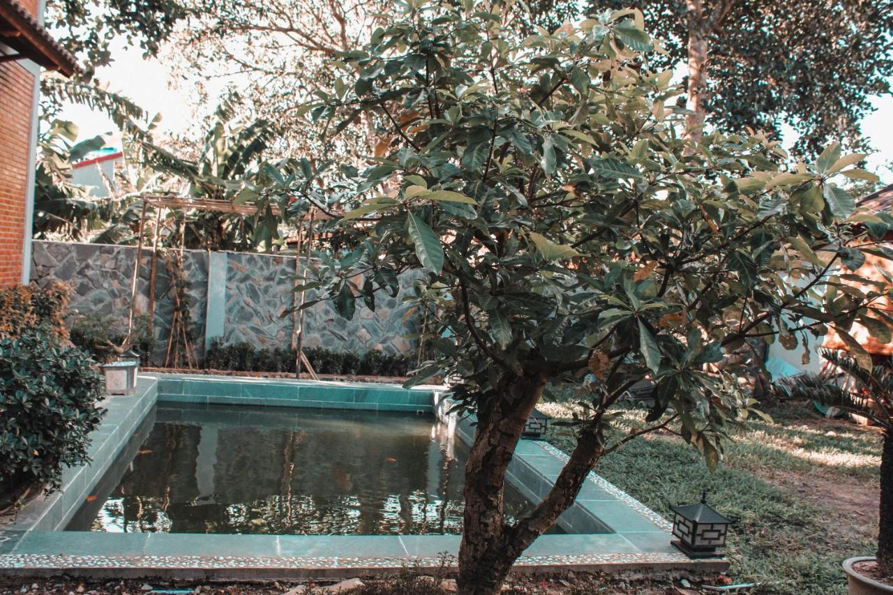 Sam Ong Lang Homestay Дуонг-Донг Экстерьер фото