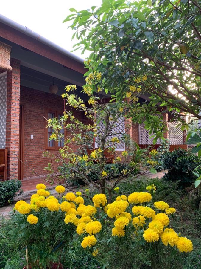 Sam Ong Lang Homestay Дуонг-Донг Экстерьер фото
